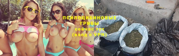 гидра Балахна