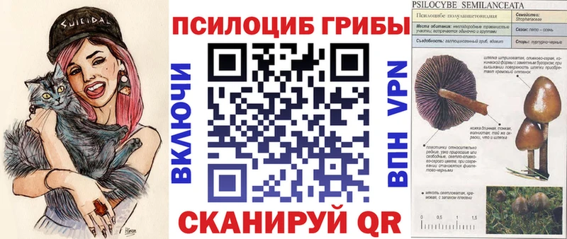 Галлюциногенные грибы Cubensis Феодосия